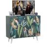 Комод-тумба Либера 16.230.01 цвет пасифай/белый, фасады с рисунком Тропический лес