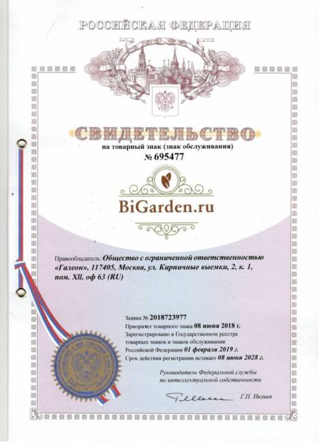 Двойное подвесное кресло "Gemini promo Black BS", без стойки, Красная подушка