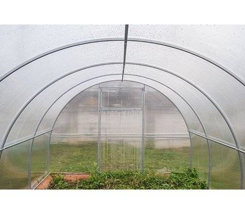 Теплица Агросфера-Престиж 6 м, без СПК